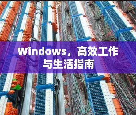 Windows,高效工作与生活指南 Windows,高效工作与生活指南