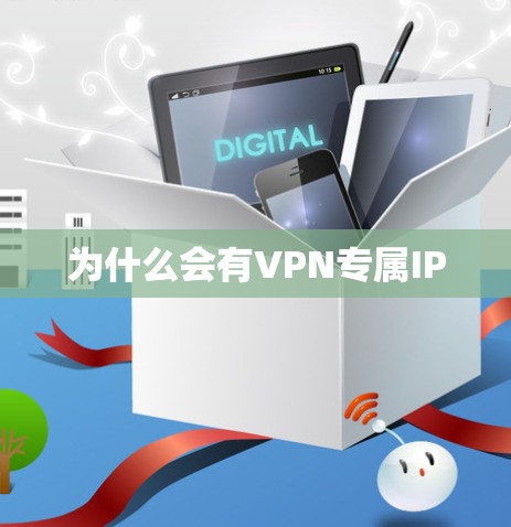 为什么会有VPN专属IP 为什么会有VPN专属IP