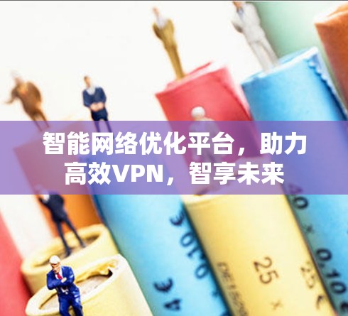 智能网络优化平台,助力高效VPN,智享未来 智能网络优化平台,助力高效VPN,智享未来