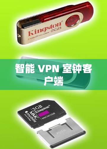 智能 VPN 室钟客户端 智能 VPN 室钟客户端