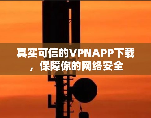 真实可信的VPNAPP下载,保障你的网络安全 真实可信的VPNAPP下载,保障你的网络安全