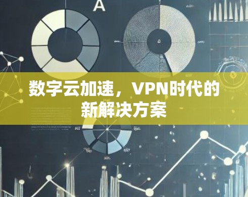 数字云加速,VPN时代的新解决方案 数字云加速,VPN时代的新解决方案