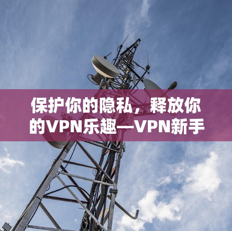 保护你的隐私，释放你的VPN乐趣—VPN新手教程下载