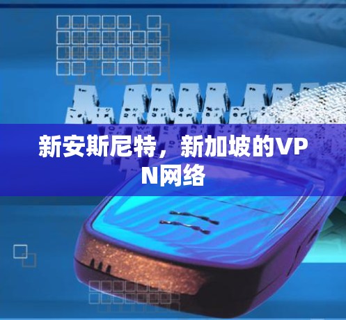 新安斯尼特，新加坡的VPN网络