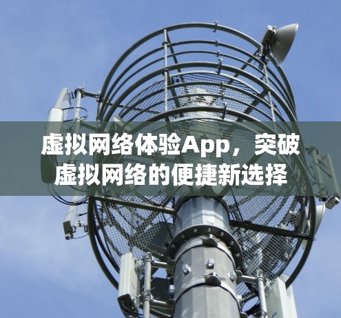 虚拟网络体验App，突破虚拟网络的便捷新选择