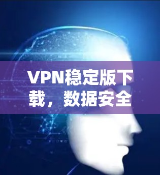 VPN稳定版下载,数据安全不容错过 VPN稳定版下载,数据安全不容错过